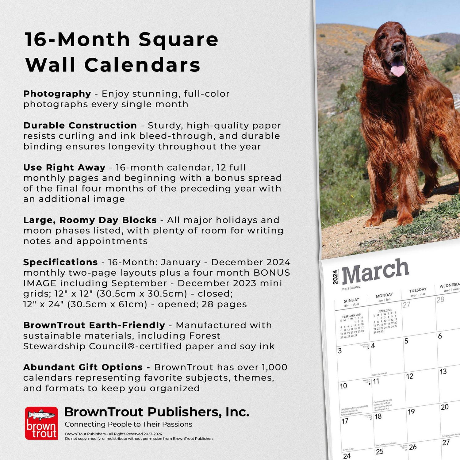 BrownTrout Irish Setters 2024 12x24 Inch Square Wall Calendar, 9781975467920