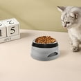 thumbnail image 4 of Dog Water Bowl - , 750mL, No Spill, Non-, Slow Feeder, for Dogs Cats, Travel Use, 4 of 4