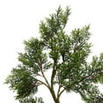 thumbnail image 1 of Vickerman 5' Potted Cedar Tree 323Lvs - Tb180160, 1 of 1