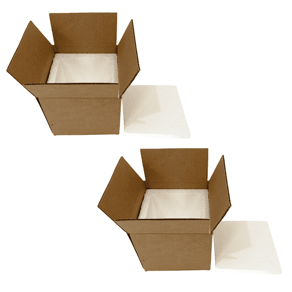 BugzyBugs Insulated Single Wall Shipping Boxes with Boxes and Styrofoam Inserts, 9 in x 9 in x 10 in, 2 Pack