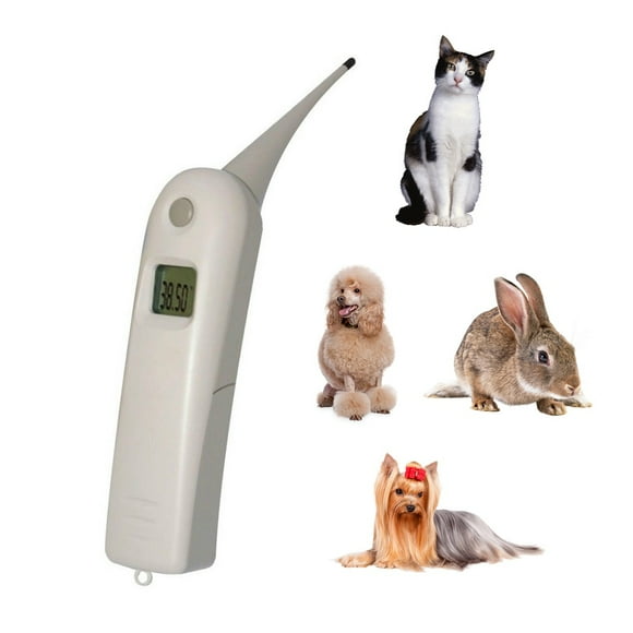 Termómetro Digital Veterinario Checkatek TDV01 Pantalla Lcd