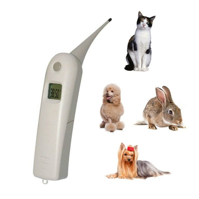 Termómetro Digital Veterinario Checkatek TDV01 Pantalla Lcd