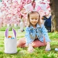 thumbnail image 4 of NWOKYZGH Easter Baskets for Kids Easter Eggs Basket Bunny with Cloth Storage Basket for Gift, 4 of 4