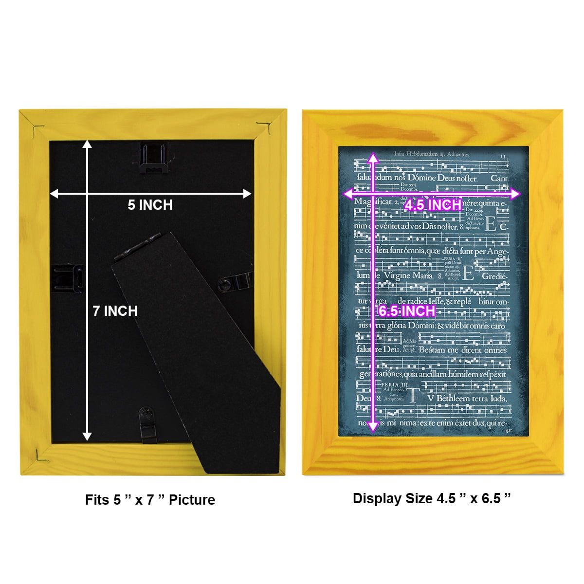 Graphic Songbook II - Framed Print w/glass - Sunflower Yellow