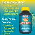 thumbnail image 4 of EyeAstin, 4 of 6