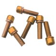 thumbnail image 3 of 6 Uds Tornillos M5x18mm Sunnimix para Pinza de Freno de Disco Bicicleta dorado, 3 of 6
