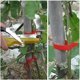thumbnail image 4 of Ofertas Especiales Del Día Xihbxyly Liquidación Prime Plantas En Mano Jardín En Frascos Herramienta En Vegetales Herramienta En Flores, 4 of 7