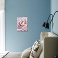 thumbnail image 5 of Pink Rose, Botanical Stretched Canvas Wall Art by Cora Niele Sold by Art.Com, 5 of 5
