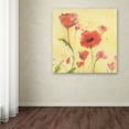 thumbnail image 3 of Trademark Fine Art 'Poppy Garden 1' Canvas Art by Sheila Golden, 3 of 3