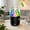 Black1, variant on Air Humidifiers for Bedroom, Small Humidifier for Plants, Rain Cloud Humidifier for Bedroom, Air Humidifier for Relaxing Atmosphere in Home Office Bedroom