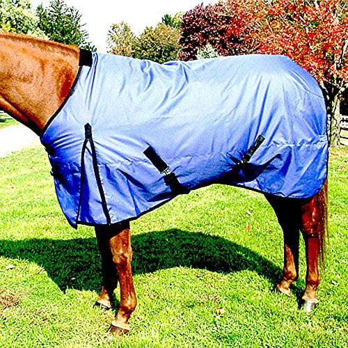 Intrepid International Prima Large Horse Turnout Blanket 