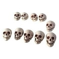 thumbnail image 5 of 10 Pcs Halloween Realistic Skull Decorations, Gothic Human Skeleton Head Halloween Decorations Gothic Decor Spooky Home Decor, Premium Plastic Material & Lifelike Design for Haunted House, Holiday, 5 of 9