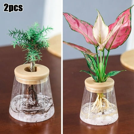 

2XAutomatic Absorption Clear Flower Pot For No Soil To Grow Small Potted Plants