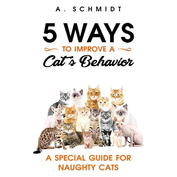 5 Ways to Improve a Cat's Behavior: A Special Guide for Naughty Cats, (Paperback)