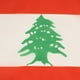 thumbnail image 3 of Banner BANDERA Líbano 30x45 cm Poliéster, 3 of 3