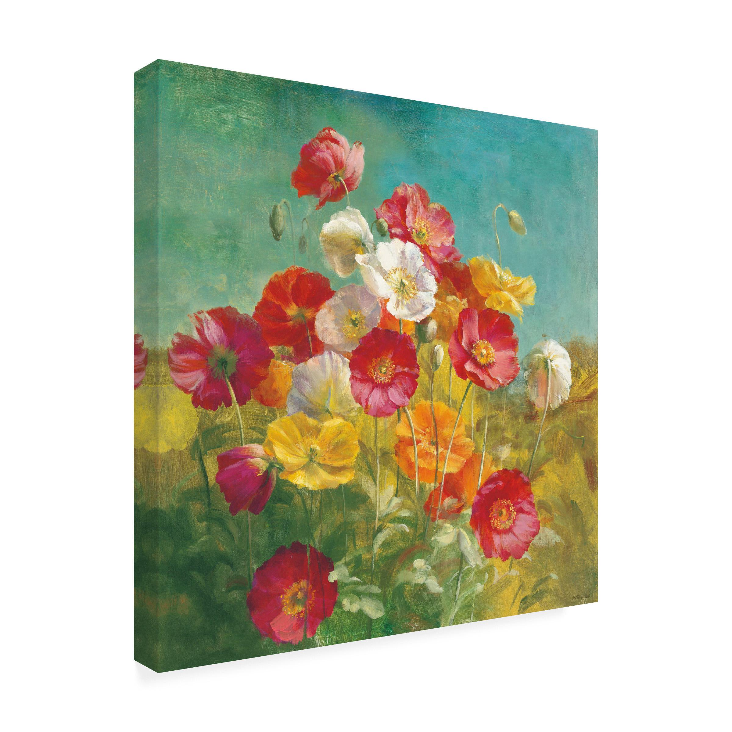 Trademark Fine Art 'Poppies in the Field' Canvas Art by Danhui Nai