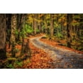 thumbnail image 2 of Galloimages Online 18x13 White Modern Wood Framed Museum Art Print Titled - Path In Greenbrier Watercolor, 2 of 4