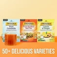 thumbnail image 5 of Twinings Herbal Tea, Pure Rooibos Red Tea K-Cup Portion Pack for Keurig K-Cup Brewers, 24 Count, 5 of 6