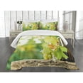 thumbnail image 3 of Ambesonne Wine Quilted Bedspread Set 3 Pcs, Young Vine Green Spring, King Size, Pale Green Yellow Brown, 3 of 5