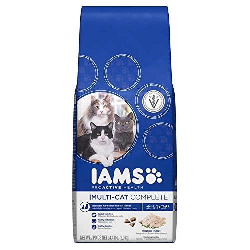walmart iams cat food