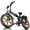 Black, variant on GOKEEP X20 Adults Electric Bike, 750W Motor, 48V 21.3AH Removable Dual Lithium Battery, 20" Fat Tire Folding E-Mountain Bike, UL2849 Certified, Black