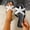 Black, variant on Women's Starfish Flip Flops Toe Post Thong Sandals Slip On Beach Vacation Slides Brown 6(37)