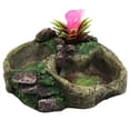 thumbnail image 1 of Reptile Water Bowl Resin Cactus Design Lizard Food Bowl Tortoise Water Bowl, 1 of 7