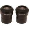 Microscope Eyepiece