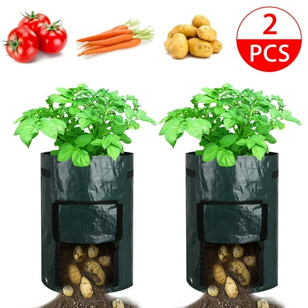 TSV 2Pack 10 Gallon Garden Potato Grow Bags,Vegetables Plant Growing Bags,Durable Planter Bags,Upgraded PE Aeration Pots with Portable Access Flap& Handles,for Potato Tomato Carrot (Best Way To Plant Carrots)