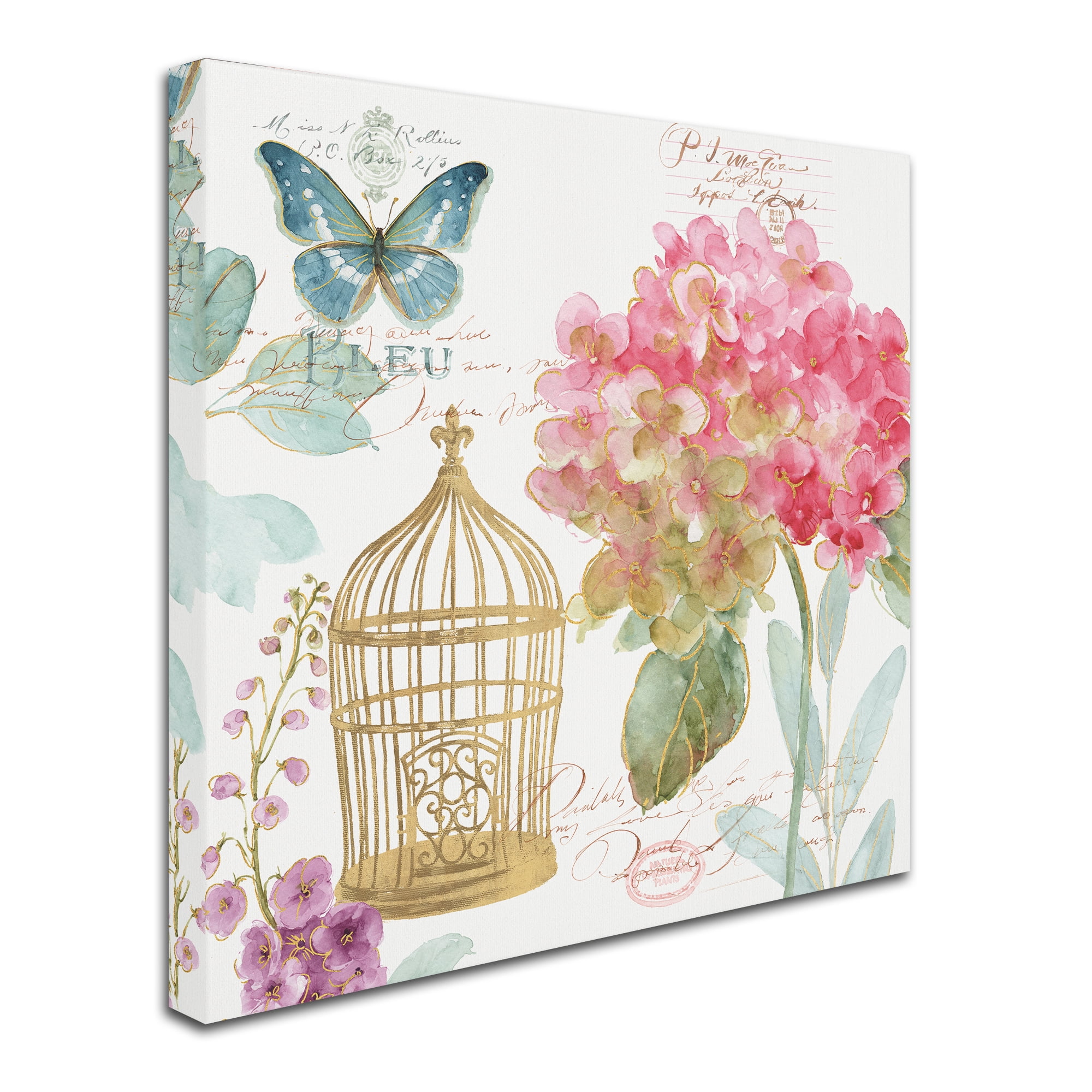 Trademark Fine Art "Rainbow Seeds Floral Birdcage II" Canvas Art by Lisa Audit