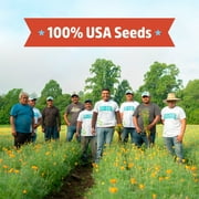 Back to the Roots Organic Wildflower Mix, 1 Seed packet