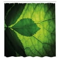 thumbnail image 3 of Ambesonne Green Shower Curtain, Brazilian Tree Leaf Eco, 69"Wx84"L, Olive and Dark Green, 3 of 5