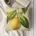 thumbnail image 3 of SHANXI Fruit Pillow Covers Fresh Lemon with Green Leaf Decorative Pillow Cover Square  Pillowcase Decor Indoor Outdoor Home Couch  20x20in, 3 of 5