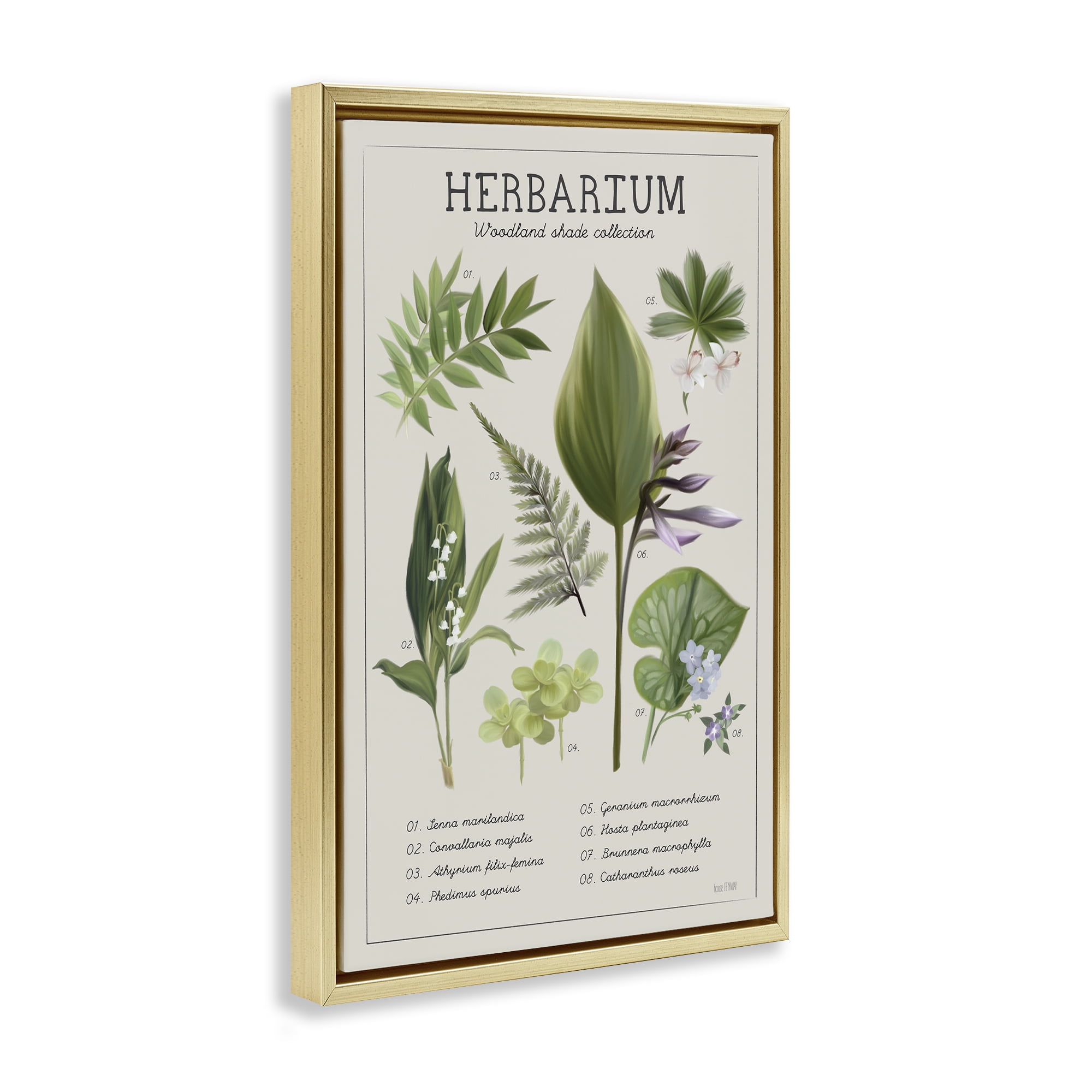 Stupell Industries Herbarium Woodland Shade Collection Gold Framed Floater Canvas Wall Art, design by House Fenway