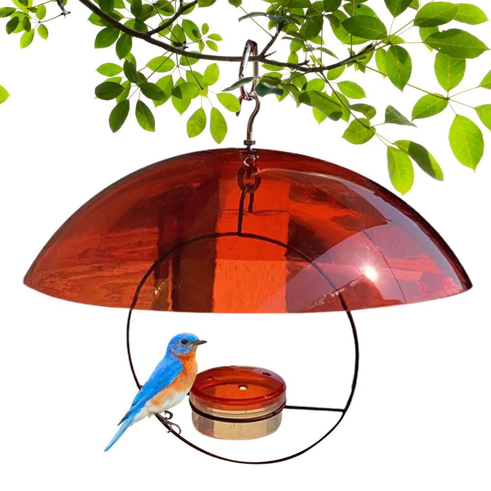 Huoge Hummingbird Feeder Bird Feeders Tree Mounted Installed On Wooden
