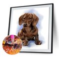 thumbnail image 4 of Resina Con Forma Diamante Perro 30x30CM XF002, 4 of 9