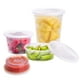 thumbnail image 1 of Recipientes de plástico para almacenamiento de alimentos TashiBox 240 ml, 480 ml, 960 ml, 1 of 7