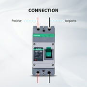 Renogy 160A 2P DC Molded Case Circuit Breaker