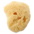thumbnail image 4 of EeaseCA Natural Sponge Art Sponge Watercolor Graffiti Texture Tool Random Shape, 4 of 8