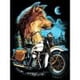 thumbnail image 3 of Cuadros Decorativos Kit de pintura de diamante 5D, motocicleta y lobo, taladro redondo completo, artesanías de arte de pared DIY Ndcxsfigh Nuevos Originales, 3 of 9