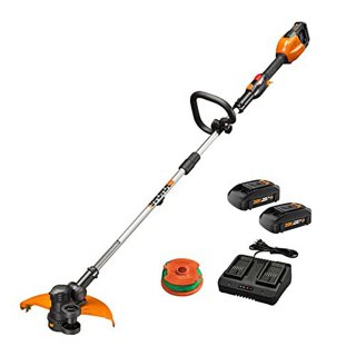 Worx 40v Battery