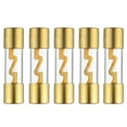 thumbnail image 3 of Absolute AGU60 60 AMP AGU GOLD PLATED FUSES ROUND GLASS FUSE, 10 PCS, 3 of 6