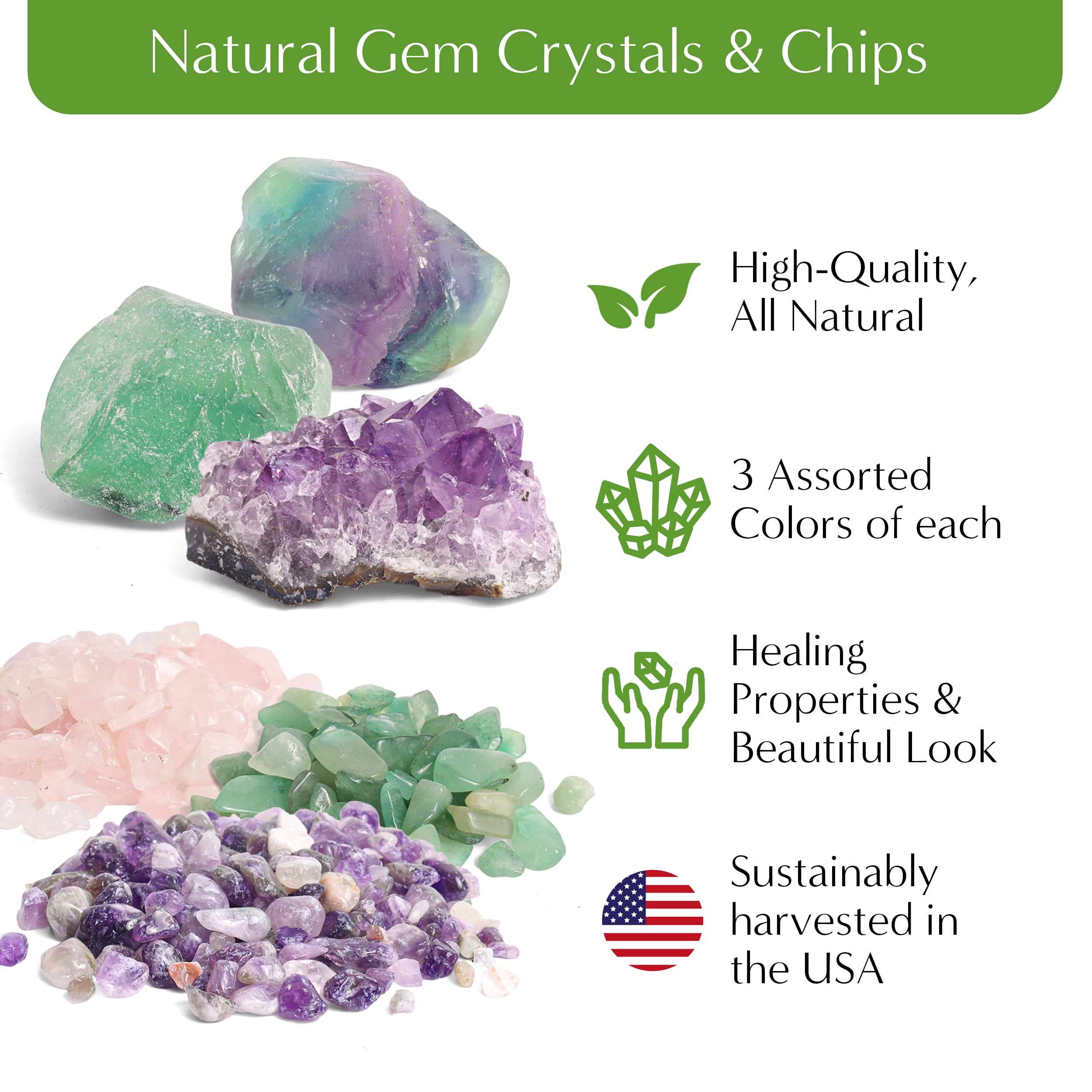 Creations by Nathalie DIY Terrarium Kit - For Succulents, Cacti & More