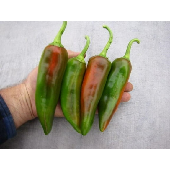Biggie Chili Pepper Seeds - 10 Seeds
