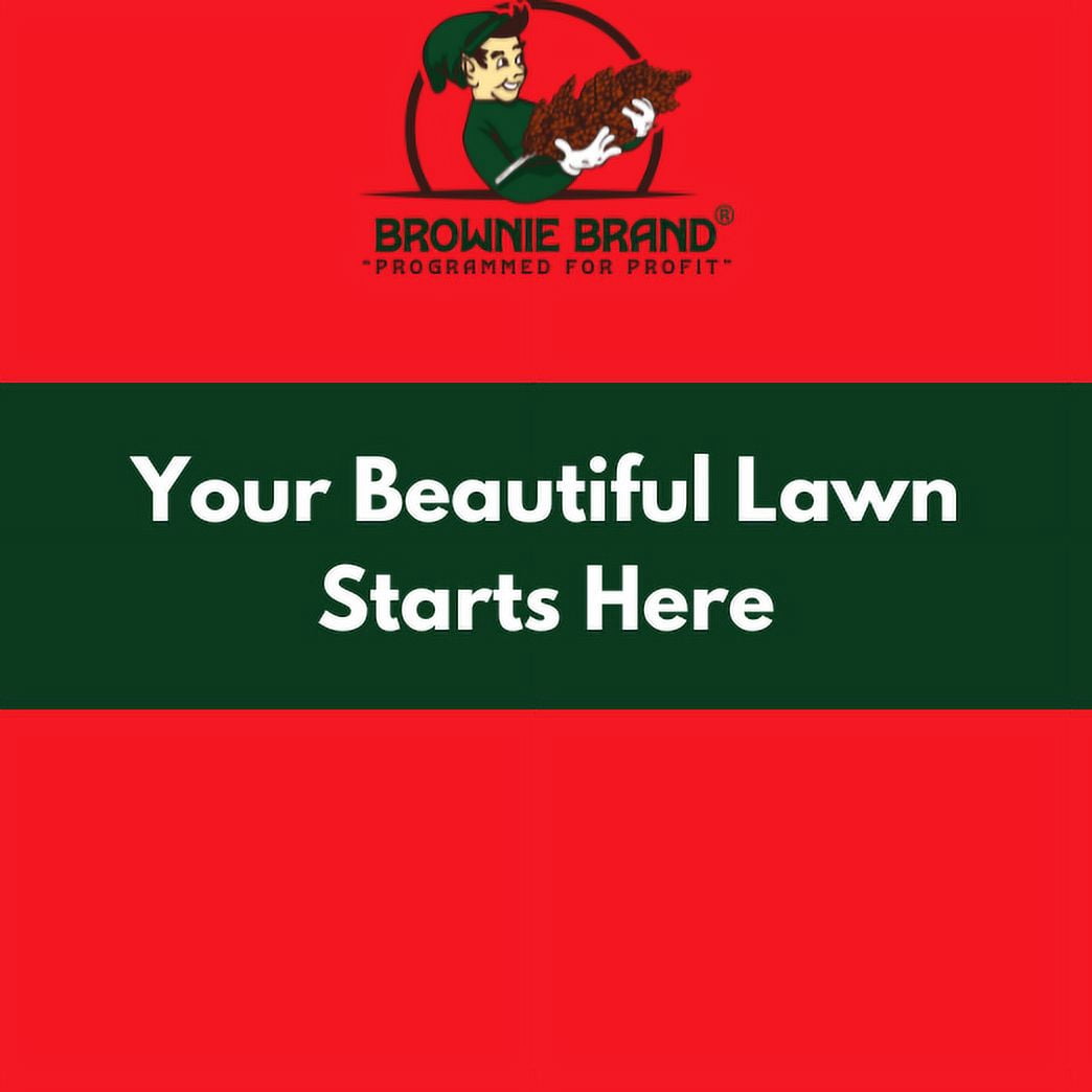 Brownie Brand Seed Kentucky Bluegrass Blue Devil, 5 lbs. Plant Seeds for Sports Fields, Home Lawns. Perennial.