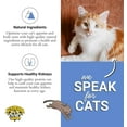 thumbnail image 2 of Dr. Elsey's® Freeze-Dried Chicken Flavor Soft Treats for Cats, 0.5 oz Pouch, 2 of 6