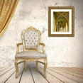 thumbnail image 3 of Ross, Nancy ,  Steve 26x32 Gold Ornate Wood Framed with Double Matting Museum Art Print Titled - Poland, Gdansk Vaulted archway in Old Town, 3 of 4