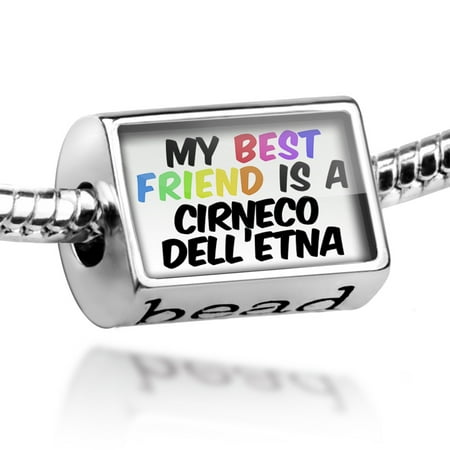 Bead My best Friend a Cirneco dell'Etna Dog from Italy Charm Fits All European