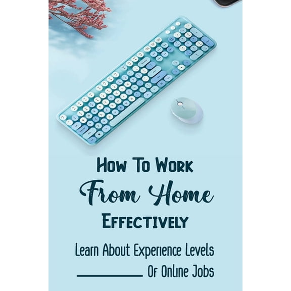How To Work From Home Effectively : Learn About Experience Levels Of Online Jobs: Job Opportunities (Paperback)