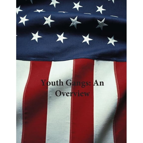 Youth Gangs: An Overview (Paperback)